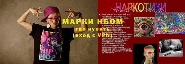 гидра Богородицк