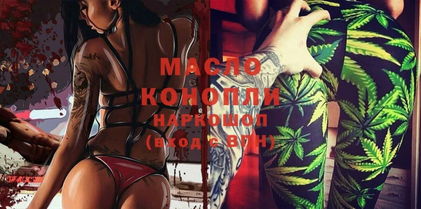 гидра Богородицк