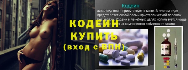 прущие грибы Богданович
