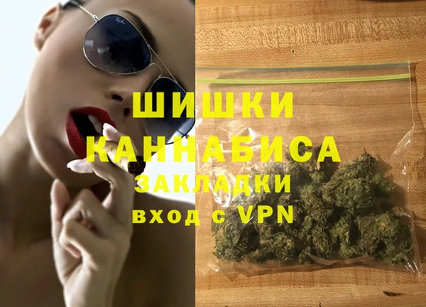 прущие грибы Богданович