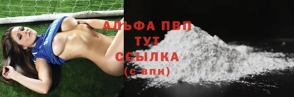 гидра Богородицк
