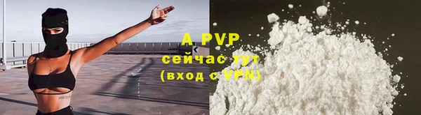 шишки Богородск