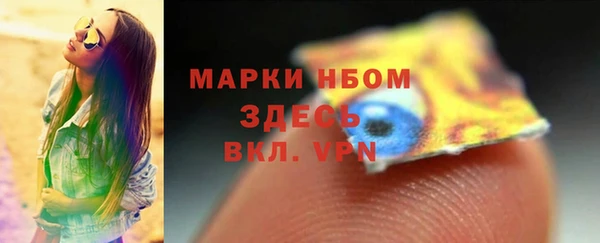 гидра Богородицк