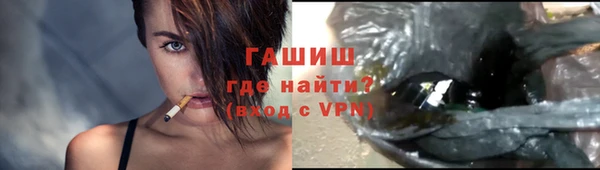 гидра Богородицк