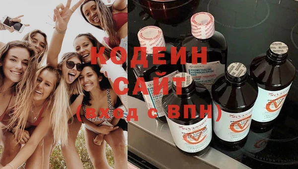 гидра Богородицк