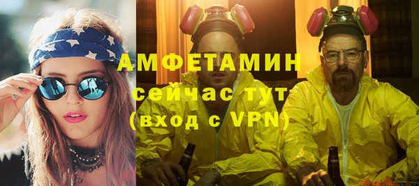 гидра Богородицк