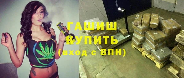 гидра Богородицк