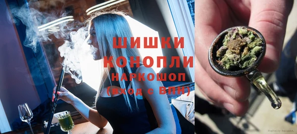 шишки Богородск