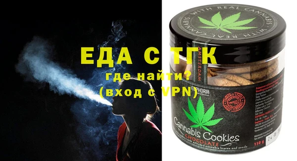 гидра Богородицк