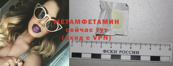 прущие грибы Богданович