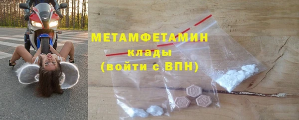 гидра Богородицк