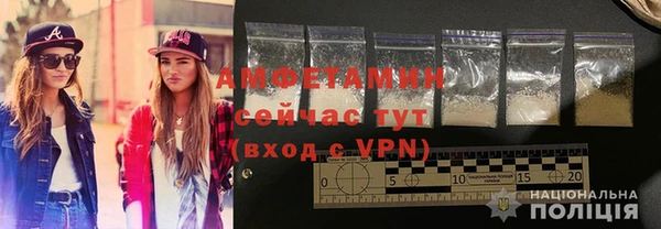 шишки Богородск