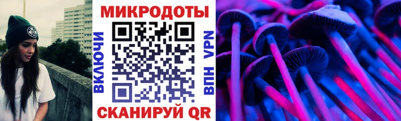 Купить где  Апрелевка  Псилоцибиновые грибы Psilocybe 